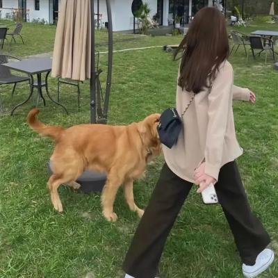 醒醒吧之跟风者
